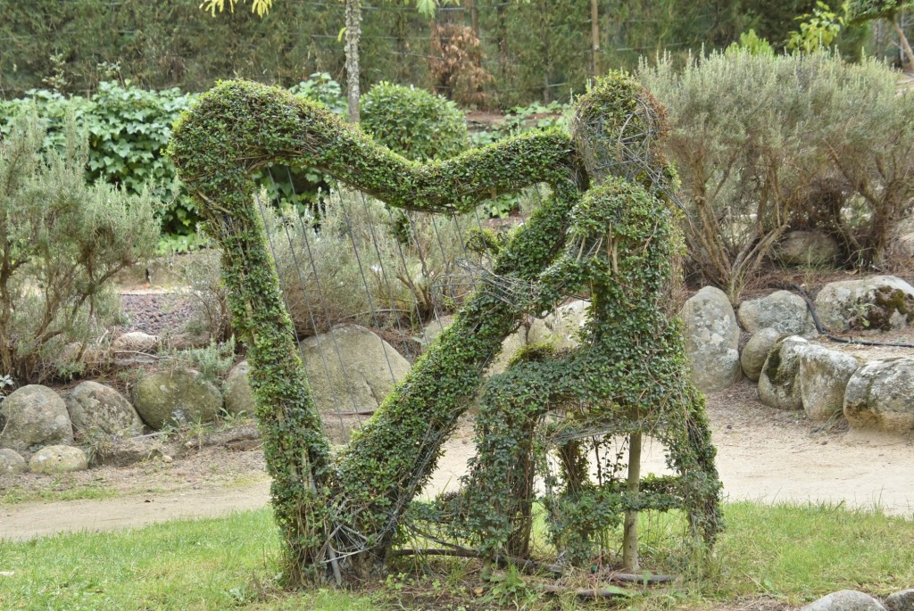 Foto: El bosque encantado - San Martín de Valdeiglesias (Madrid), España