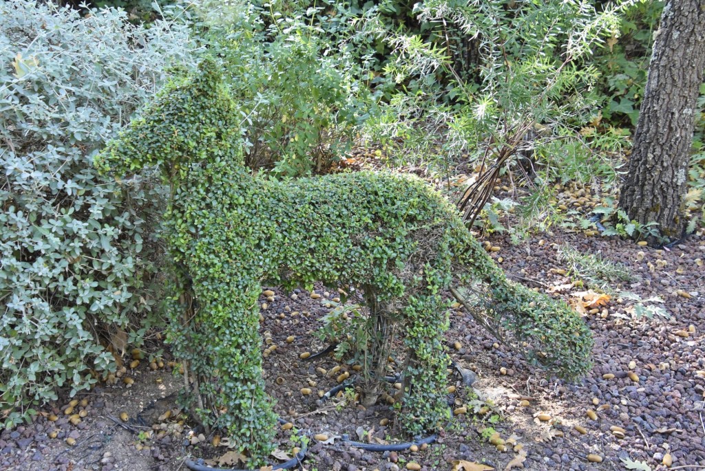 Foto: El bosque encantado - San Martín de Valdeiglesias (Madrid), España
