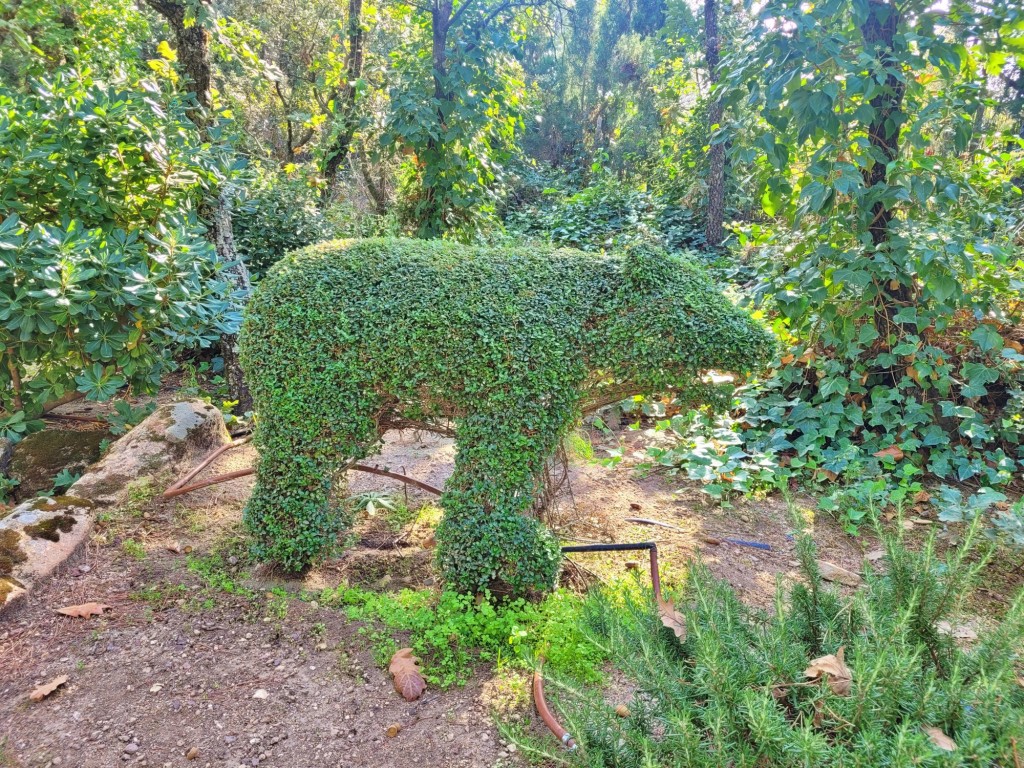 Foto: El bosque encantado - San Martín de Valdeiglesias (Madrid), España