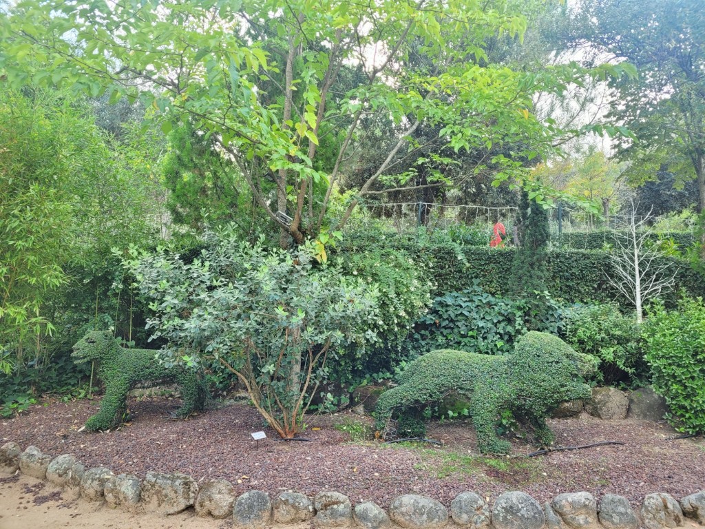 Foto: El bosque encantado - San Martín de Valdeiglesias (Madrid), España