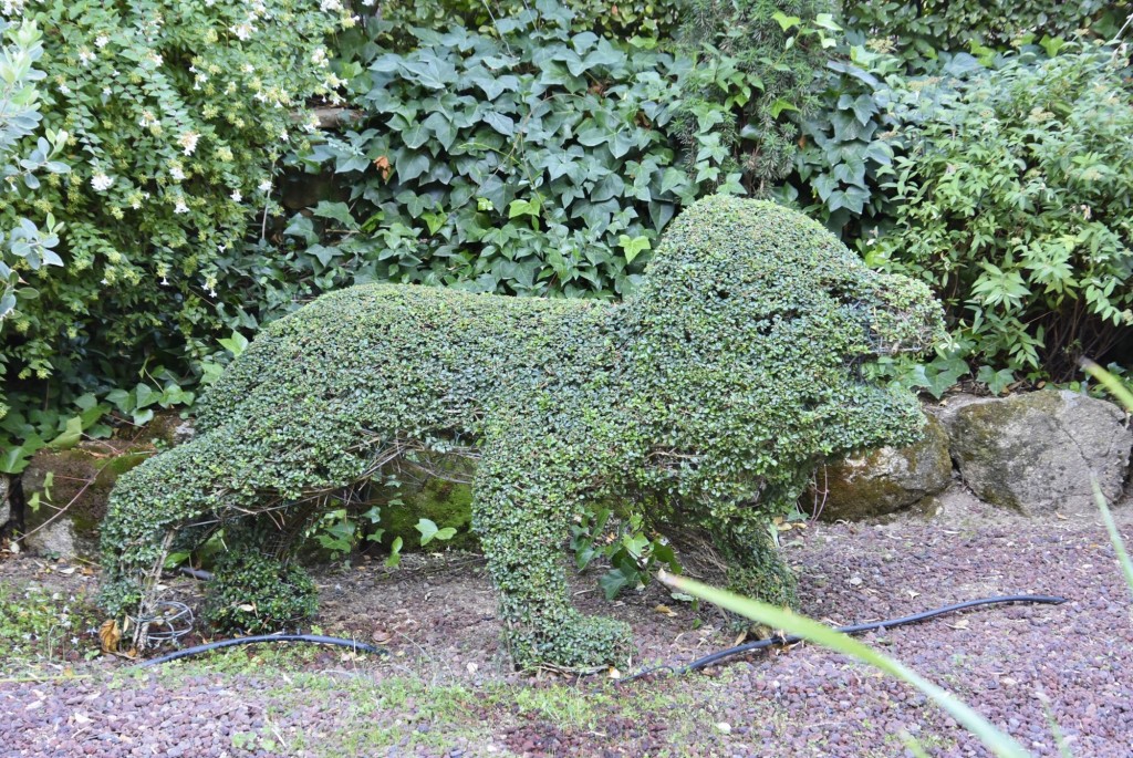 Foto: El bosque encantado - San Martín de Valdeiglesias (Madrid), España
