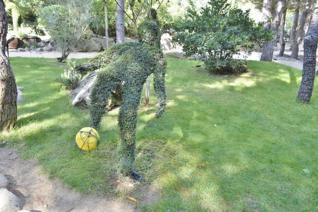 Foto: El bosque encantado - San Martín de Valdeiglesias (Madrid), España