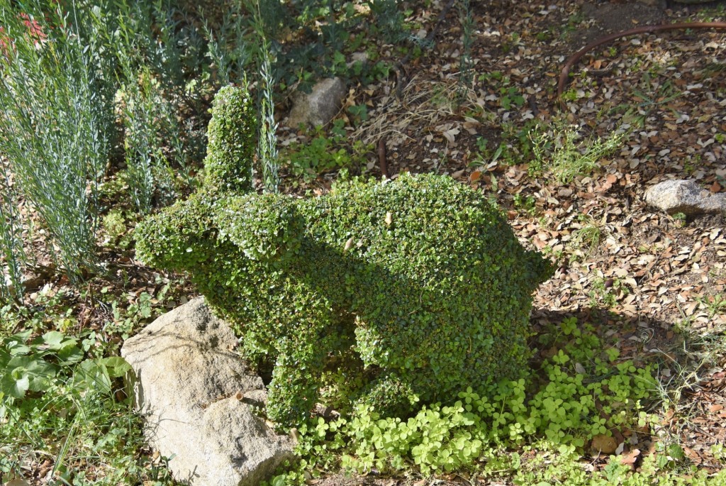 Foto: El bosque encantado - San Martín de Valdeiglesias (Madrid), España