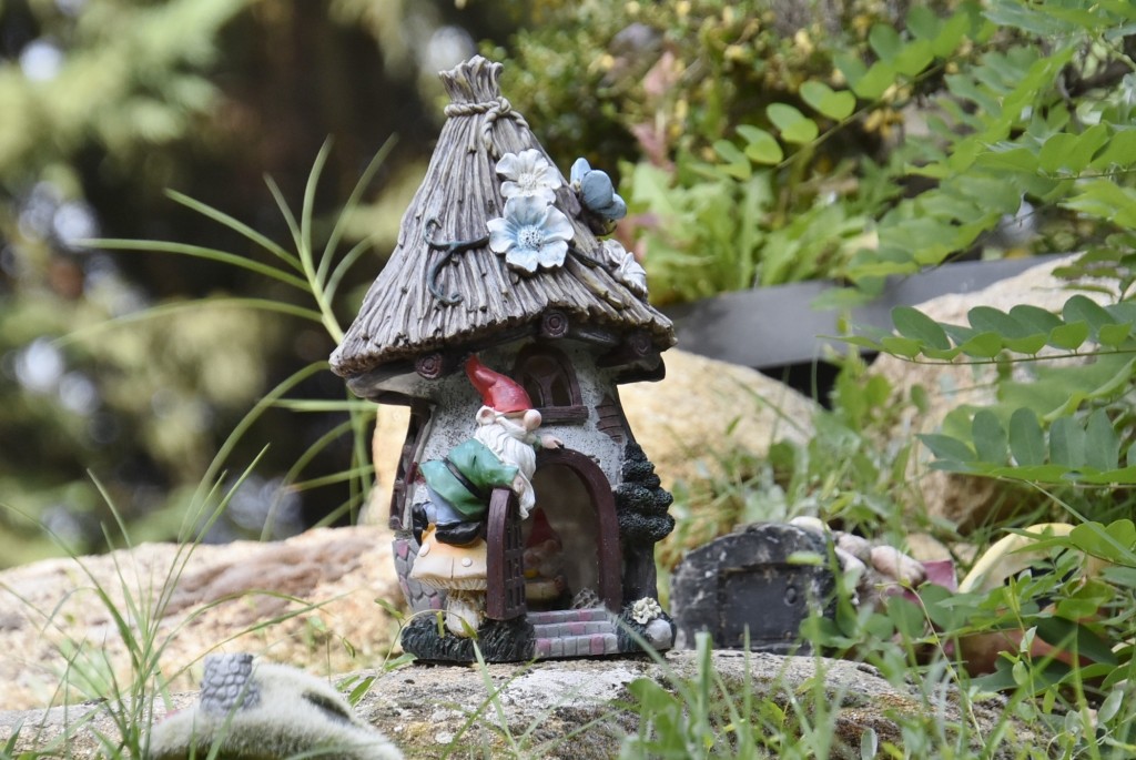 Foto: El bosque encantado - San Martín de Valdeiglesias (Madrid), España