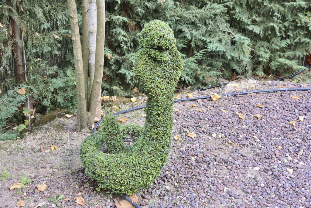 Foto: El bosque encantado - San Martín de Valdeiglesias (Madrid), España