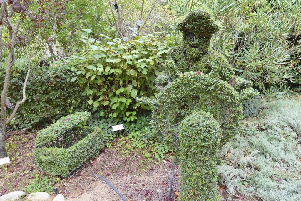 Foto: El bosque encantado - San Martín de Valdeiglesias (Madrid), España