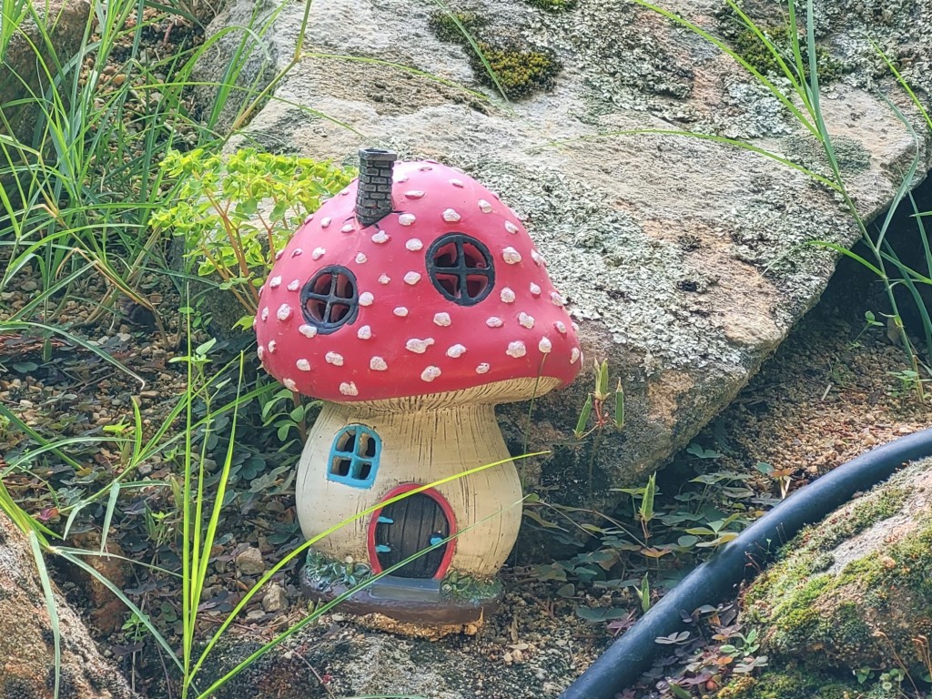 Foto: El bosque encantado - San Martín de Valdeiglesias (Madrid), España