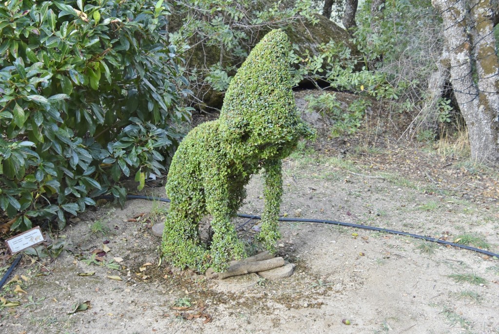 Foto: El bosque encantado - San Martín de Valdeiglesias (Madrid), España
