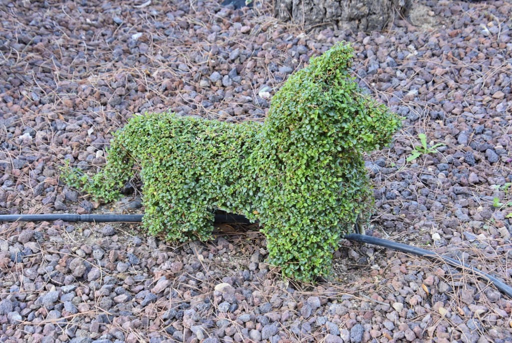 Foto: El bosque encantado - San Martín de Valdeiglesias (Madrid), España