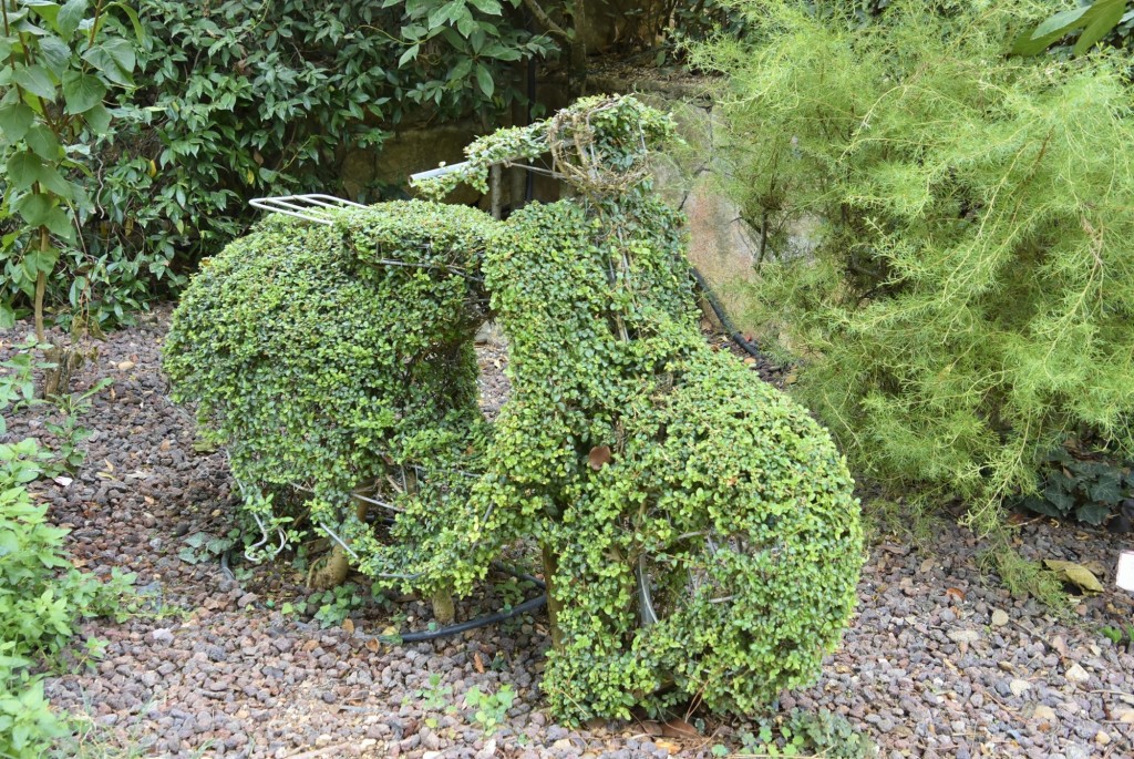 Foto: El bosque encantado - San Martín de Valdeiglesias (Madrid), España