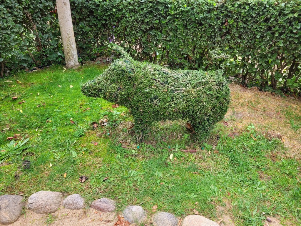 Foto: El bosque encantado - San Martín de Valdeiglesias (Madrid), España