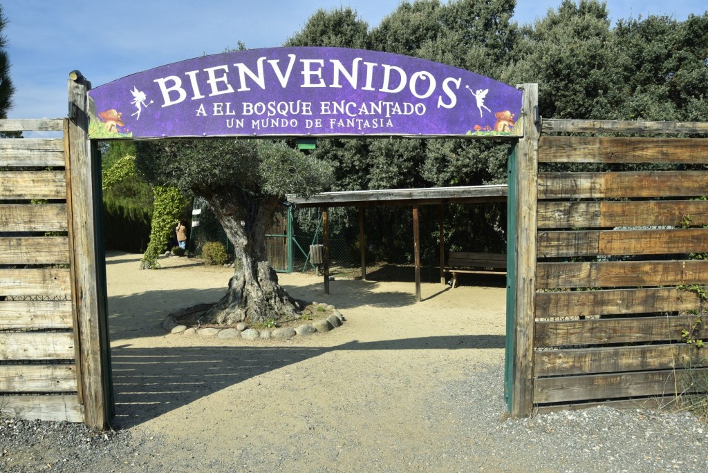 Foto: El bosque encantado - San Martín de Valdeiglesias (Madrid), España