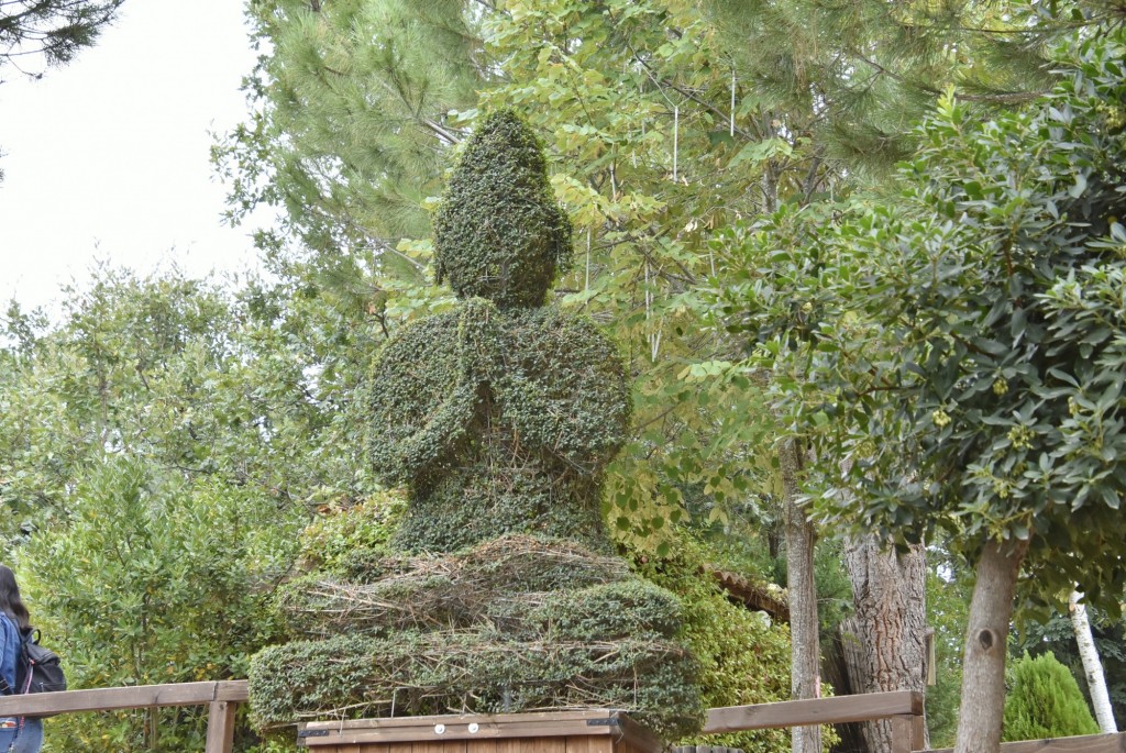 Foto: El bosque encantado - San Martín de Valdeiglesias (Madrid), España