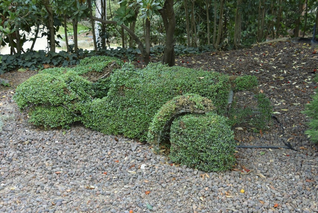 Foto: El bosque encantado - San Martín de Valdeiglesias (Madrid), España