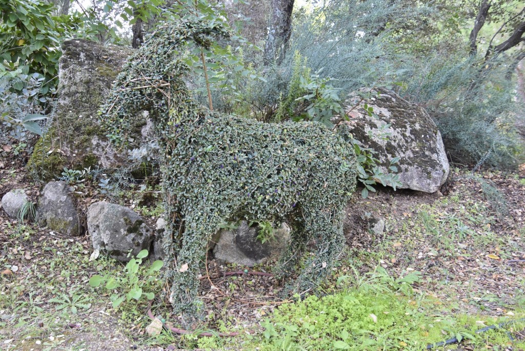 Foto: El bosque encantado - San Martín de Valdeiglesias (Madrid), España