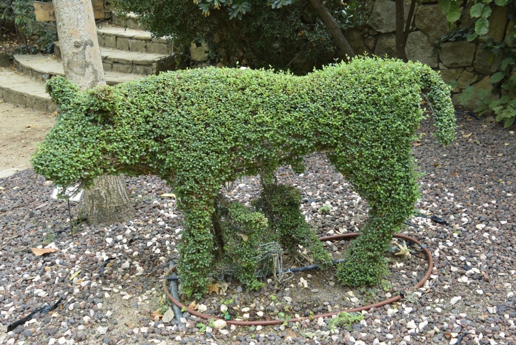 Foto: El bosque encantado - San Martín de Valdeiglesias (Madrid), España