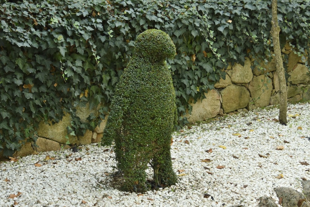 Foto: El bosque encantado - San Martín de Valdeiglesias (Madrid), España