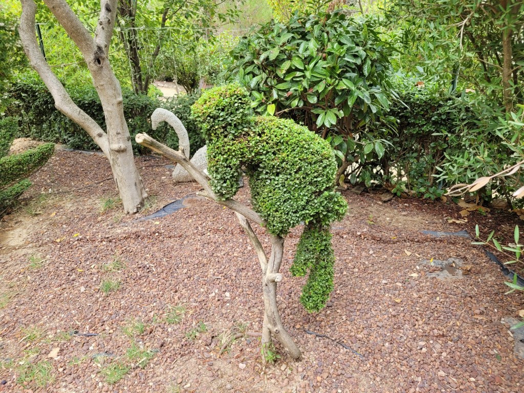 Foto: El bosque encantado - San Martín de Valdeiglesias (Madrid), España