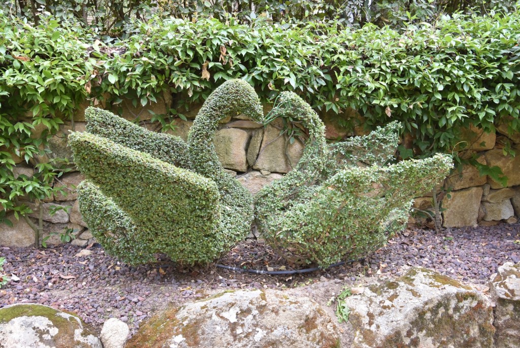 Foto: El bosque encantado - San Martín de Valdeiglesias (Madrid), España