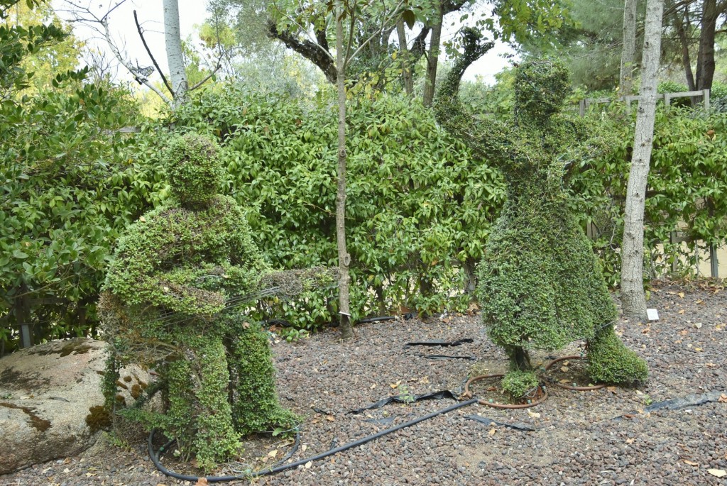 Foto: El bosque encantado - San Martín de Valdeiglesias (Madrid), España