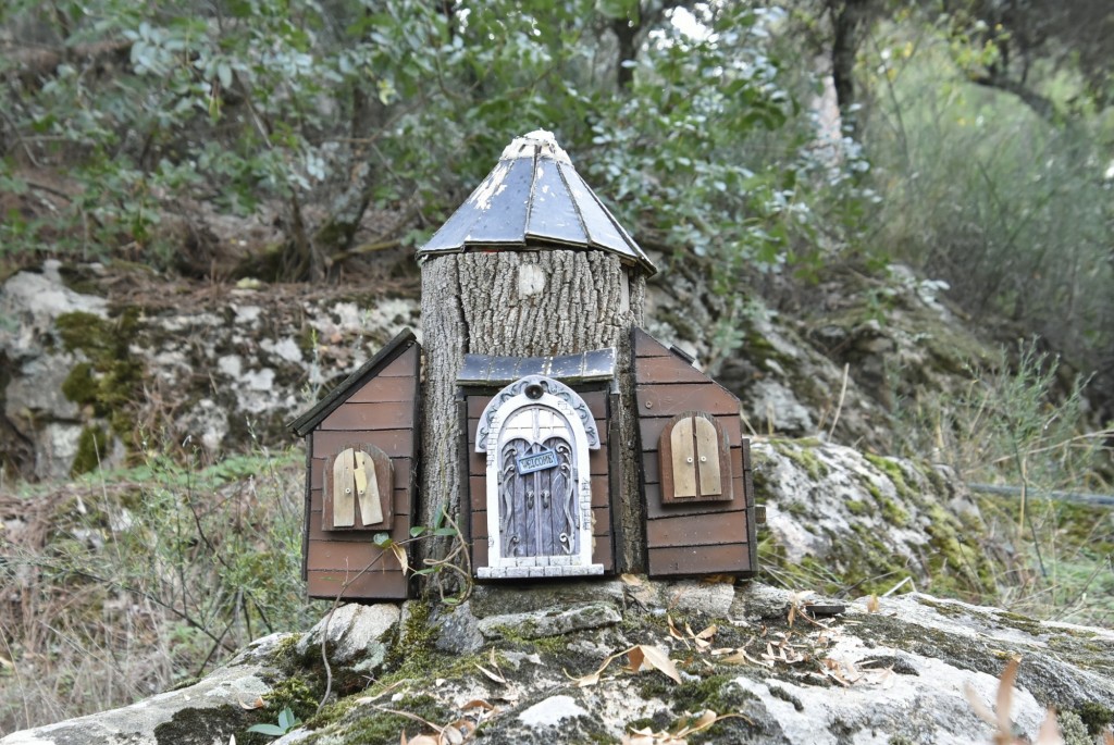 Foto: El bosque encantado - San Martín de Valdeiglesias (Madrid), España