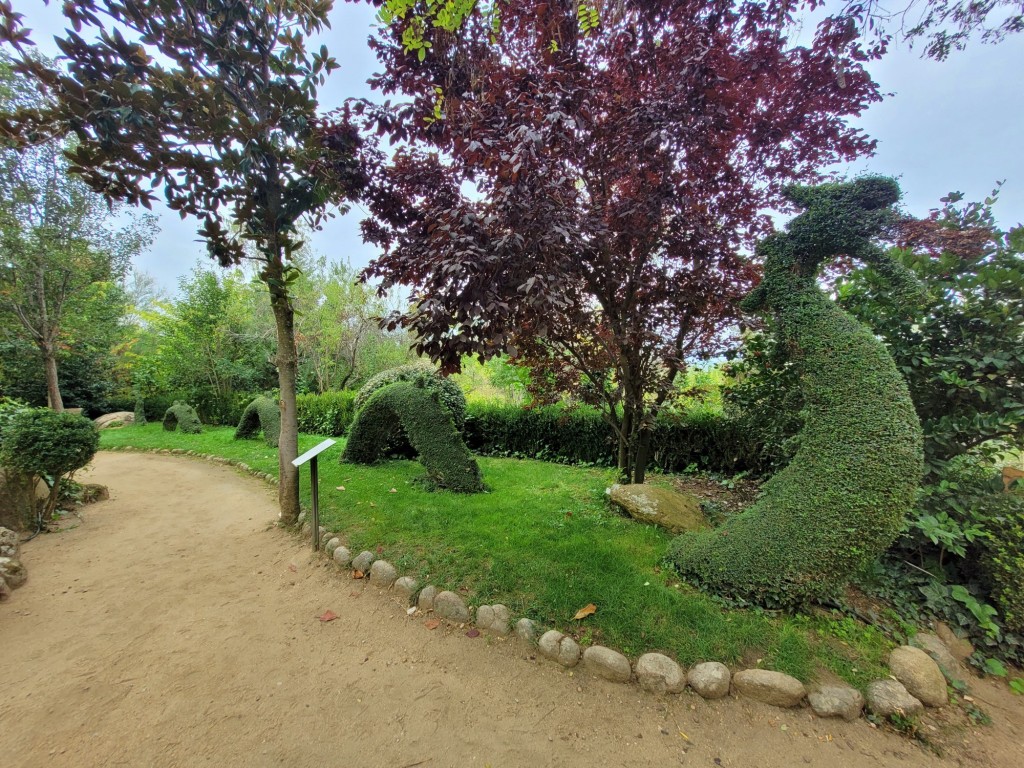 Foto: El bosque encantado - San Martín de Valdeiglesias (Madrid), España