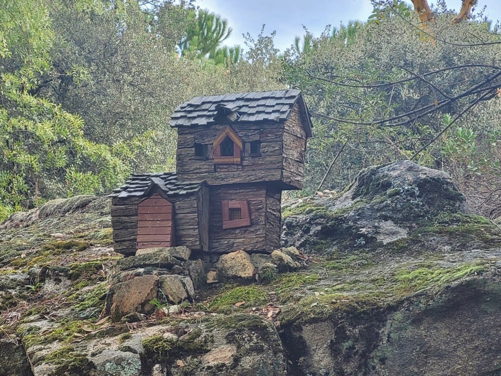 Foto: El bosque encantado - San Martín de Valdeiglesias (Madrid), España