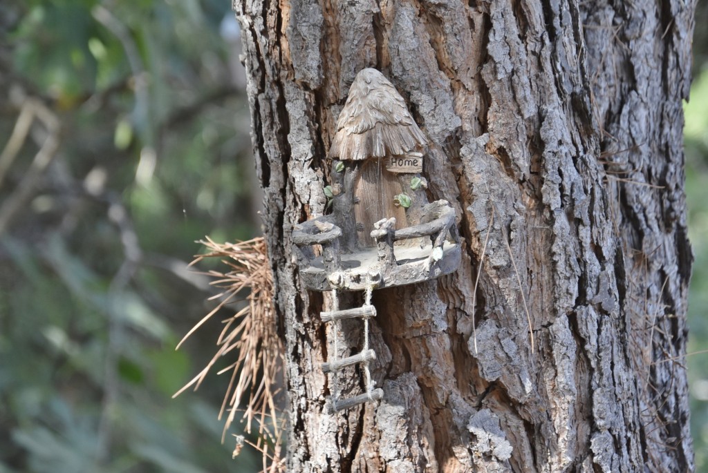 Foto: El bosque encantado - San Martín de Valdeiglesias (Madrid), España