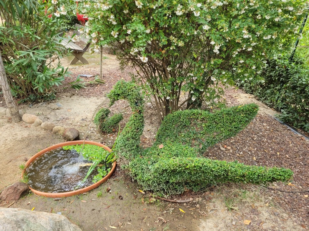 Foto: El bosque encantado - San Martín de Valdeiglesias (Madrid), España