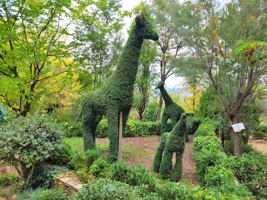 Foto: El bosque encantado - San Martín de Valdeiglesias (Madrid), España