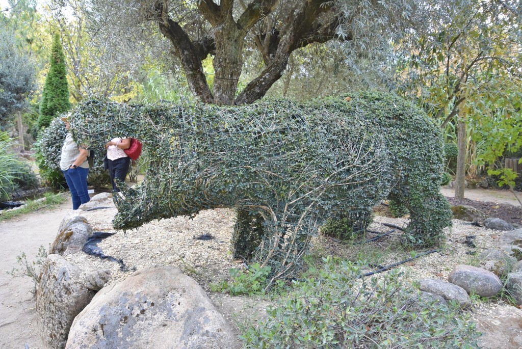 Foto: El bosque encantado - San Martín de Valdeiglesias (Madrid), España