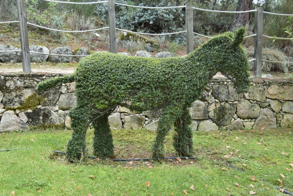 Foto: El bosque encantado - San Martín de Valdeiglesias (Madrid), España