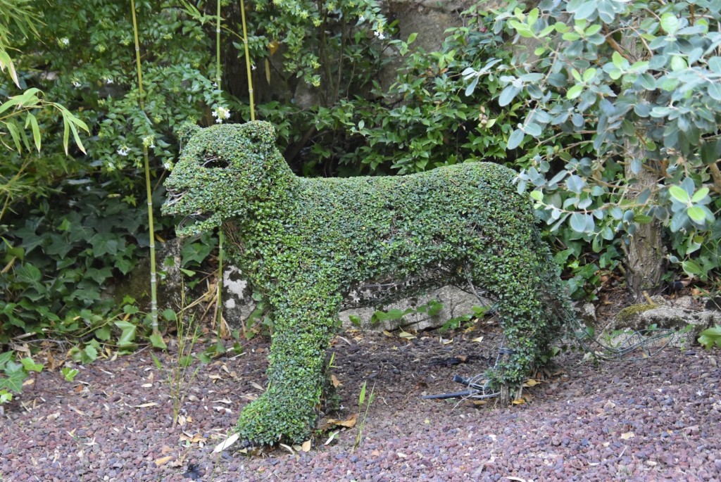 Foto: El bosque encantado - San Martín de Valdeiglesias (Madrid), España