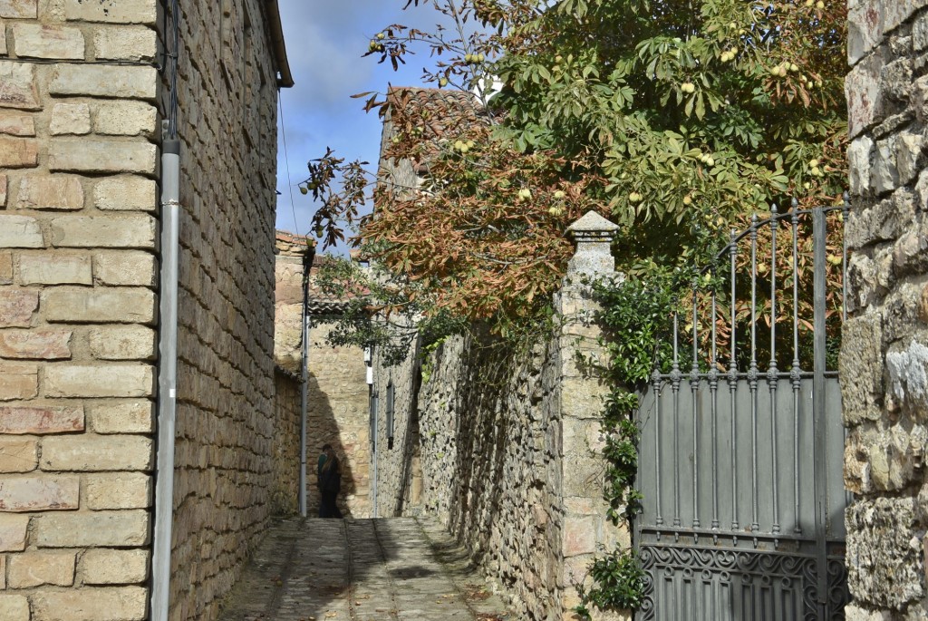 Foto: Centro histórico - Medinaceli (Soria), España