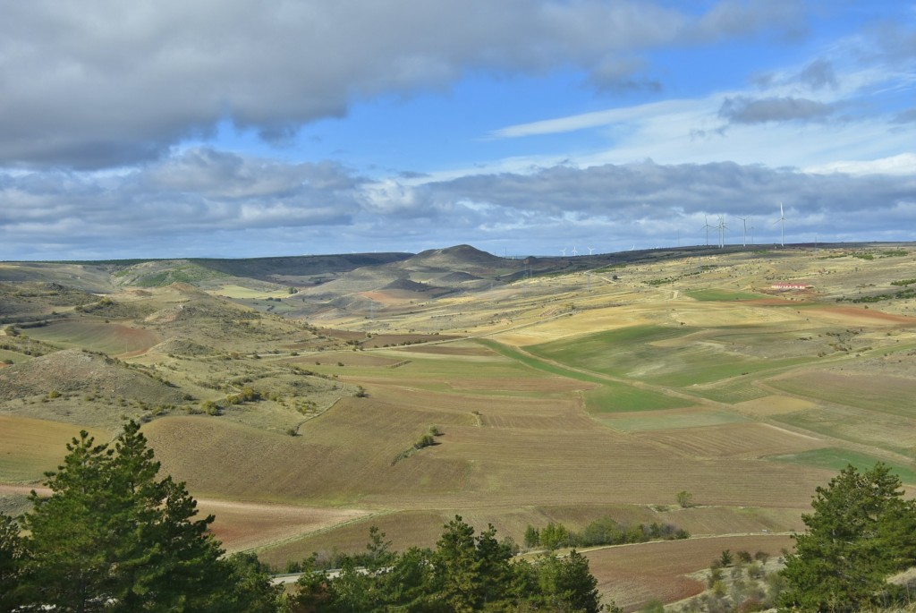 Foto: Paisaje - Medinaceli (Soria), España