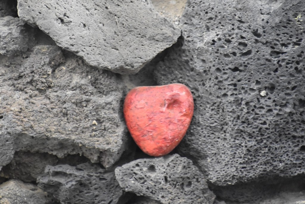 Foto: Pozo de las Calcosas - Valverde (El Hierro) (Santa Cruz de Tenerife), España
