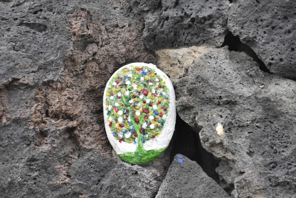 Foto: Pozo de las Calcosas - Valverde (El Hierro) (Santa Cruz de Tenerife), España