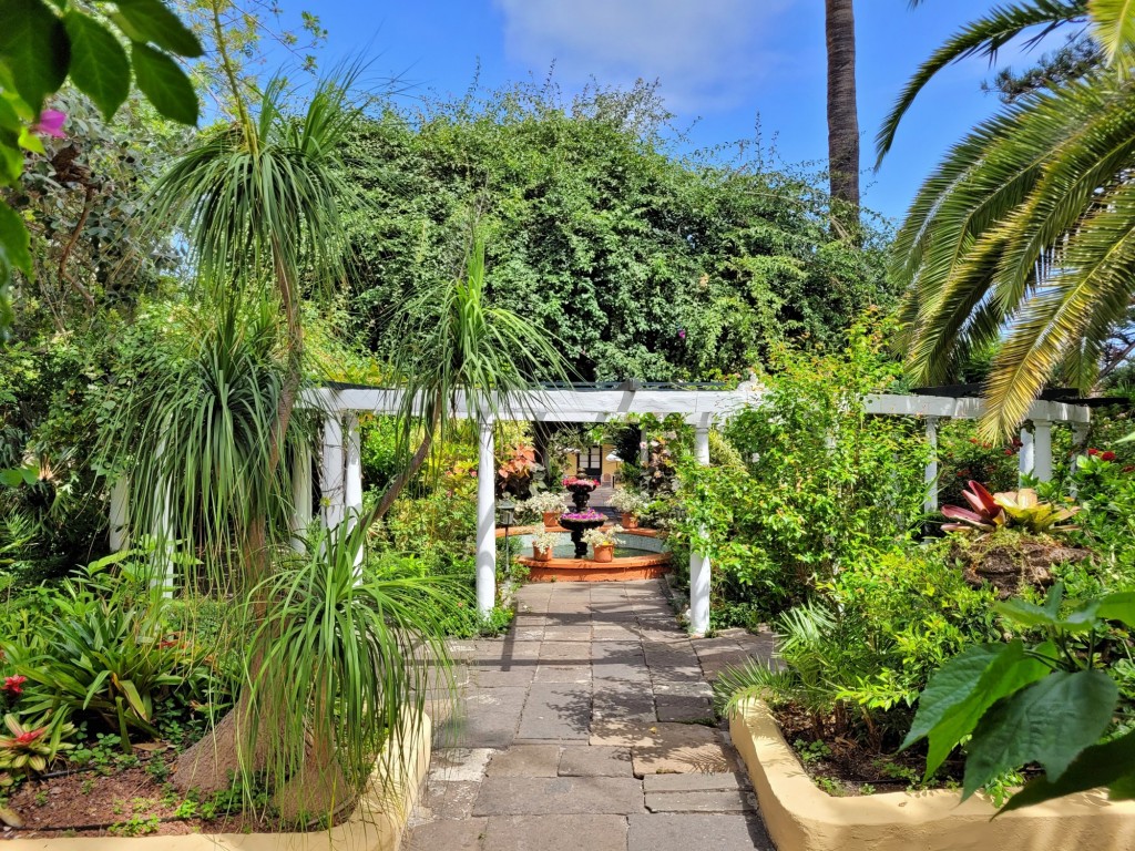 Foto: Jardín Sitio Litre - Puerto de la Cruz (Santa Cruz de Tenerife), España