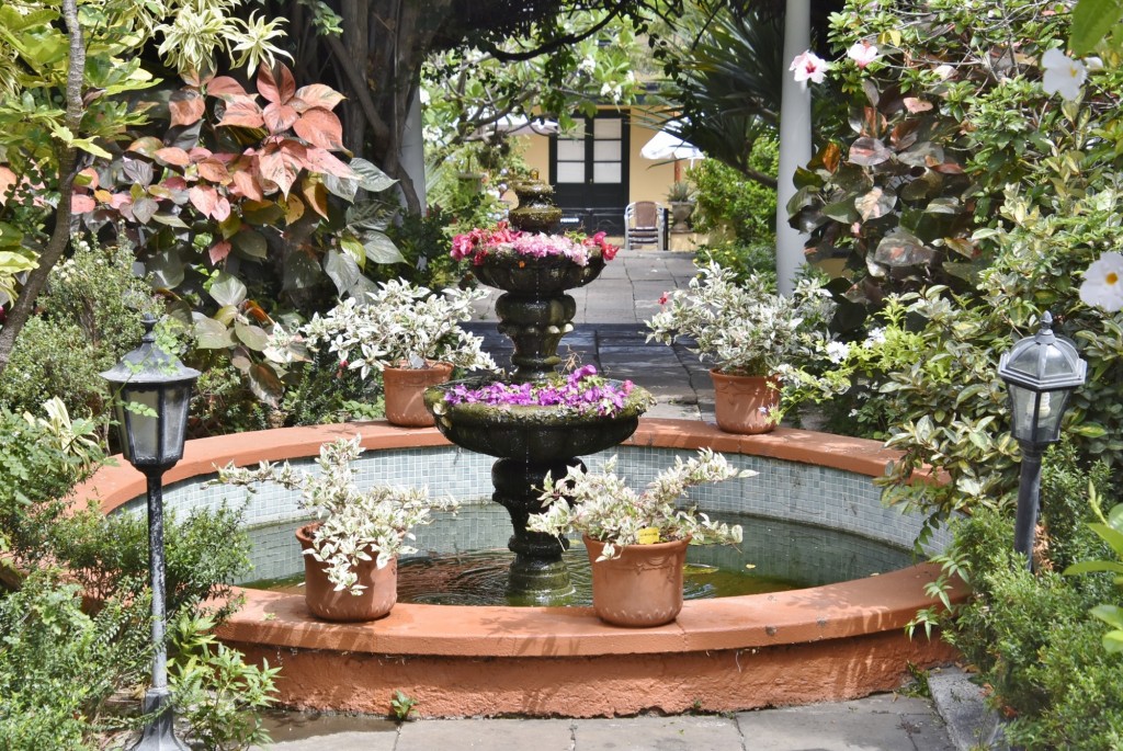 Foto: Jardín Sitio Litre - Puerto de la Cruz (Santa Cruz de Tenerife), España