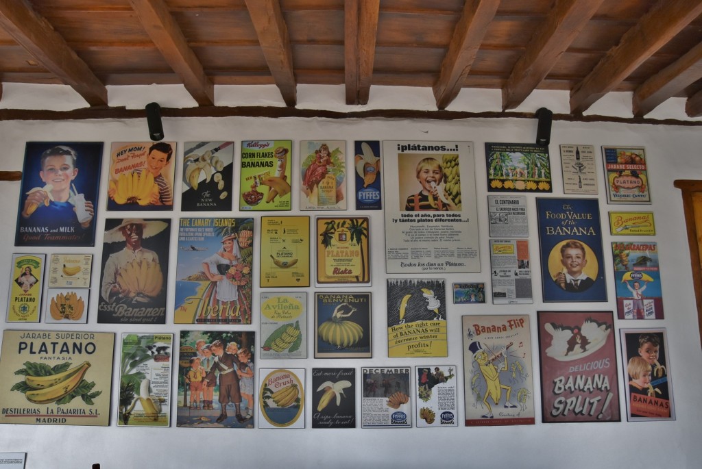 Foto: Casa del plátano - Icod de los Vinos (Santa Cruz de Tenerife), España