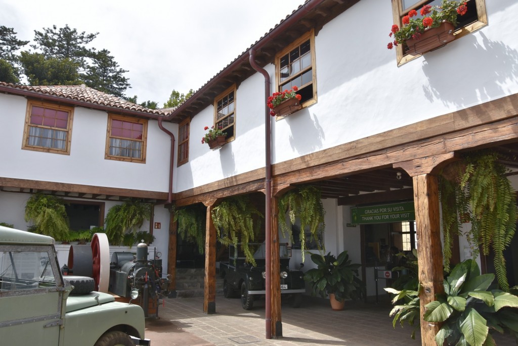 Foto: Casa del plátano - Icod de los Vinos (Santa Cruz de Tenerife), España