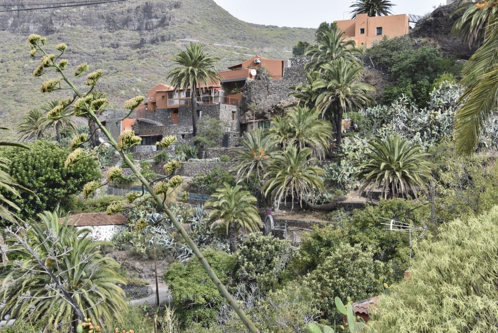 Foto: Centro histórico - Masca (Santa Cruz de Tenerife), España