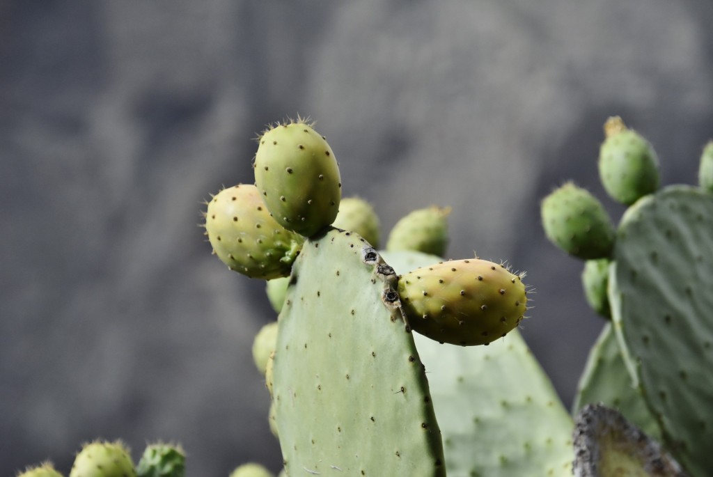 Foto: Centro histórico - Masca (Santa Cruz de Tenerife), España