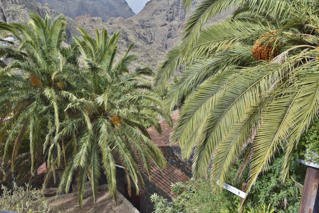 Foto: Centro histórico - Masca (Santa Cruz de Tenerife), España