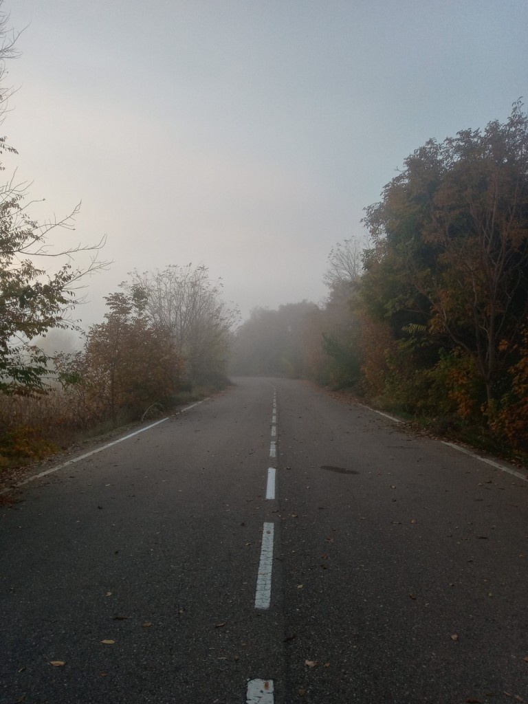 Foto: Niebla de diciembre - Calatayud (Zaragoza), España