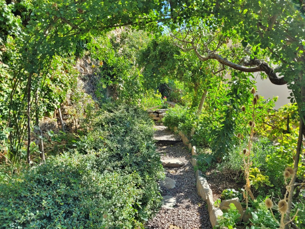 Foto: Centro histórico - Morella (Castelló), España