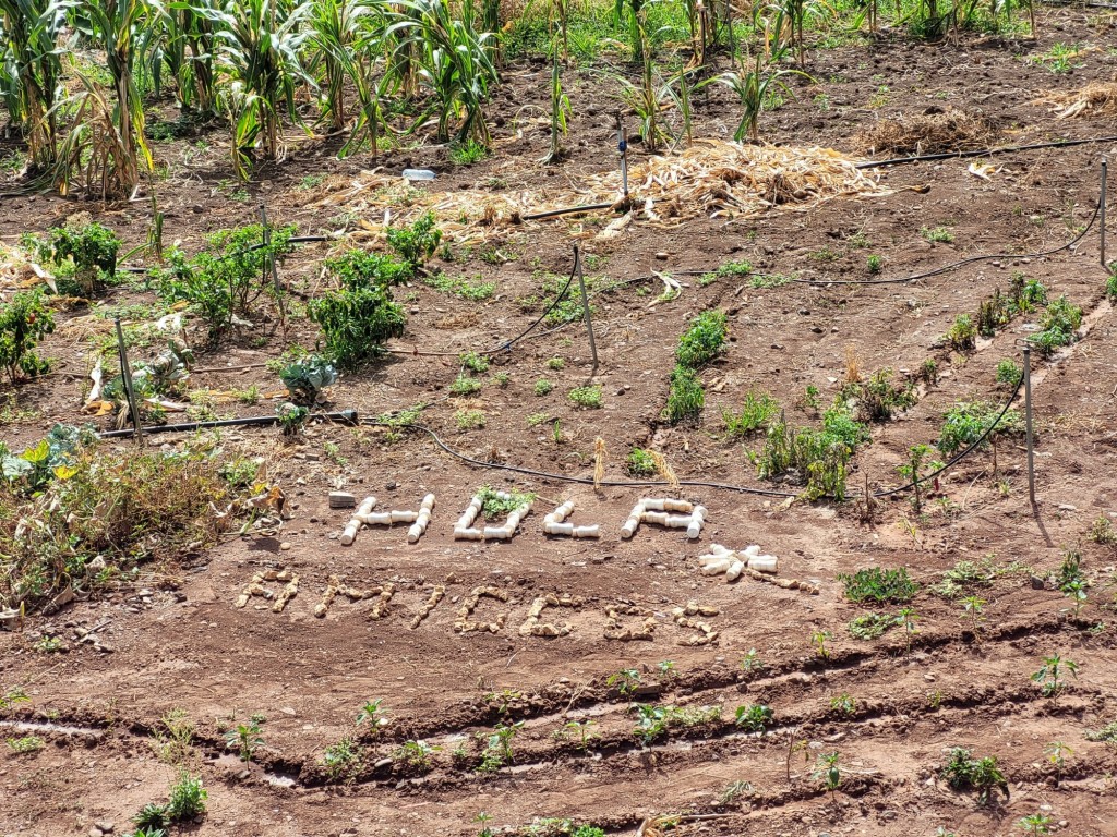 Foto: Saludos - Agulo (La Gomera) (Santa Cruz de Tenerife), España