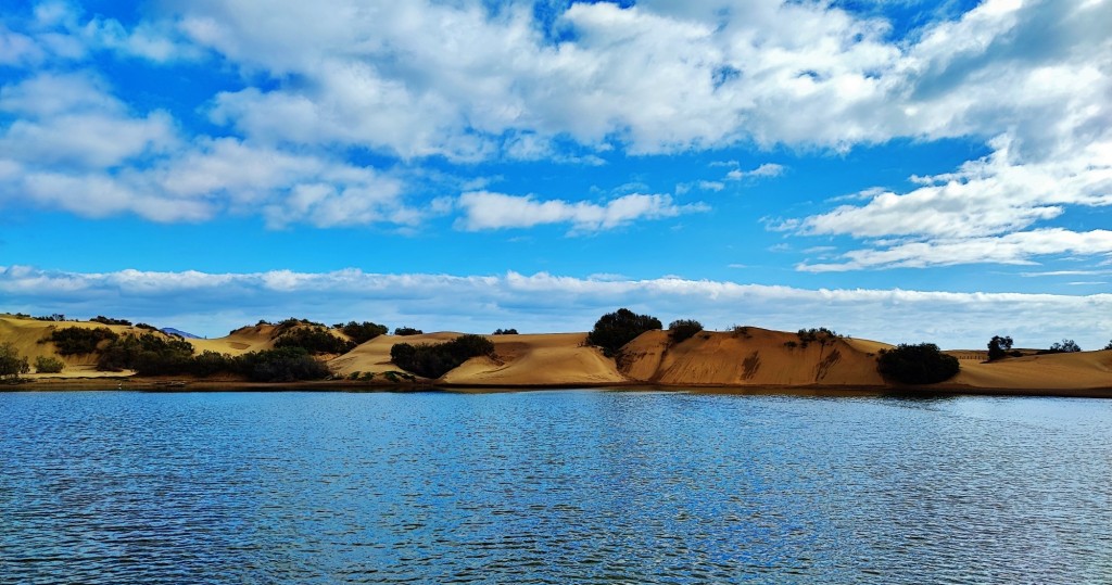 Foto: Charca de Maspalomas - Maspalomas (Las Palmas), España
