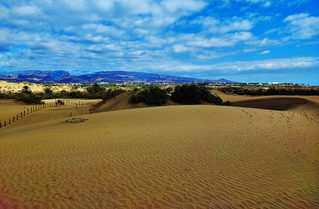 Foto: Dunas de Maspalomas - Maspalomas (Las Palmas), España