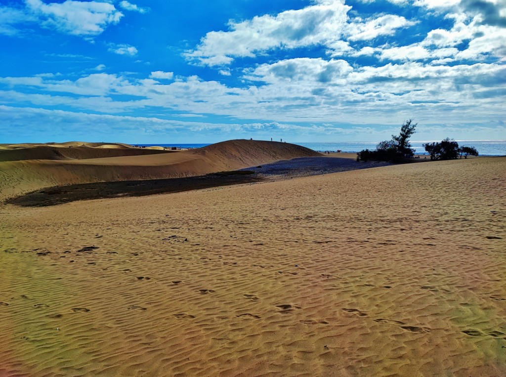 Foto: Dunas de Maspalomas - Maspalomas (Las Palmas), España